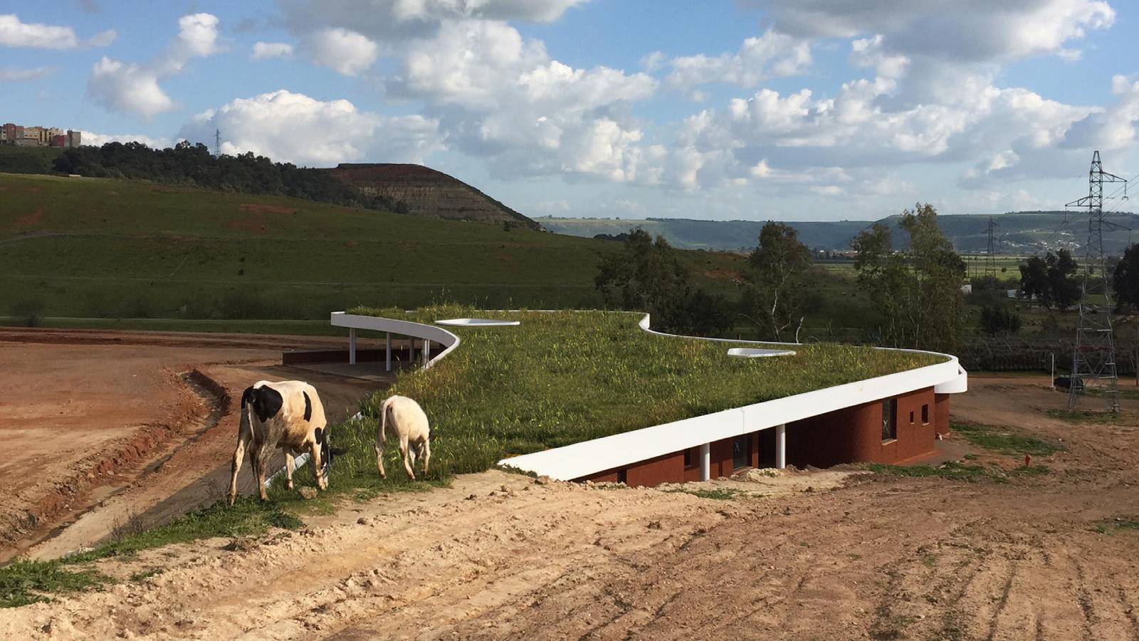 Courtesy Of Mangera Yvars Architects.