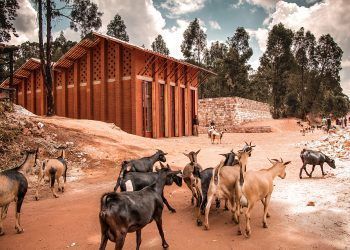 Library in Muyinga / BC Architects