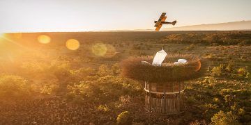 Nay Palad Bird Nest / Daniel Pouzet