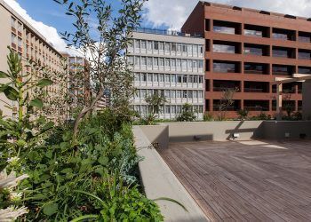 WWF SA Braamfontein / Alive Architecture
