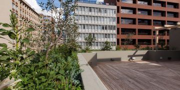 WWF SA Braamfontein / Alive Architecture