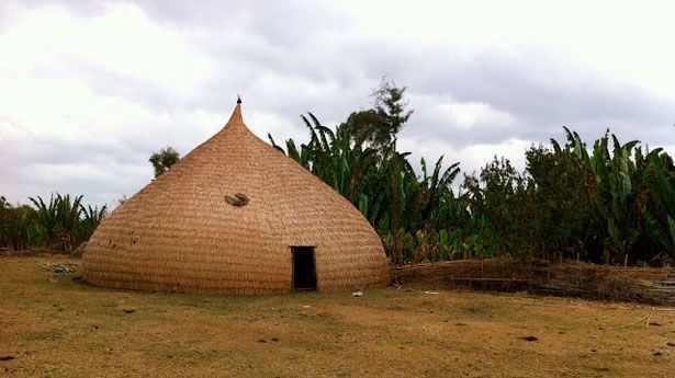 © Ecoplanetbamboo.net